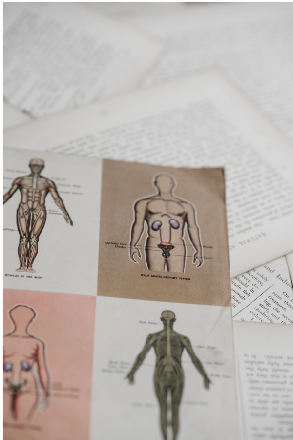 Injury Following Penetrative Sexual Contact (NEW)